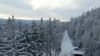 Kozalaklı orman kış dağları drone görüntüsü