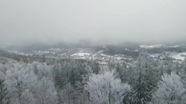 Kozalaklı orman kış dağları drone görüntüsü