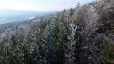Orman dağları İHA uçuşları