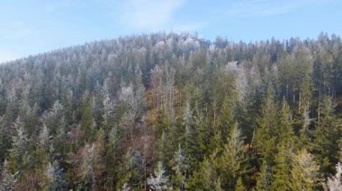 Orman dağları İHA uçuşları