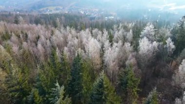 Orman dağları İHA uçuşları