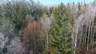 Orman dağları İHA uçuşları