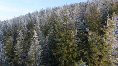 Orman dağları İHA uçuşları