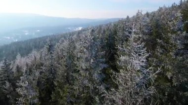 Orman dağları İHA uçuşları