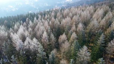 Orman dağları İHA uçuşları