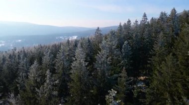 Orman dağları İHA uçuşları