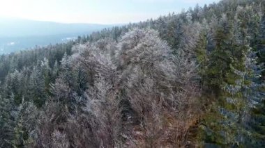 Orman dağları İHA uçuşları