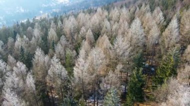 Orman dağları İHA uçuşları