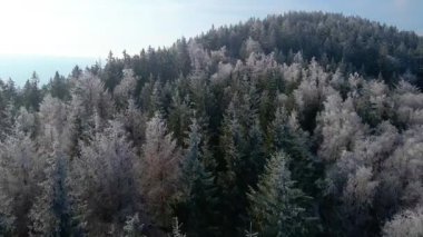 Orman dağları İHA uçuşları