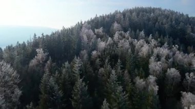 Orman dağları İHA uçuşları