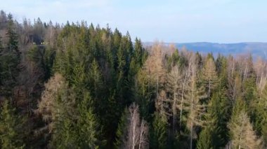 Orman dağları İHA uçuşları