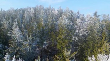 Buz dağları orman dronu kış karını görür