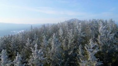 Buz dağları orman dronu kış karını görür