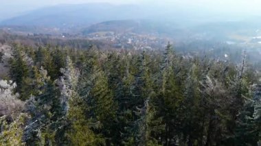 Buz dağları orman dronu kış karını görür