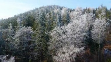 Buz dağları orman dronu kış karını görür