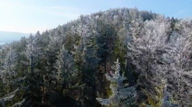Buz dağları orman dronu kış karını görür