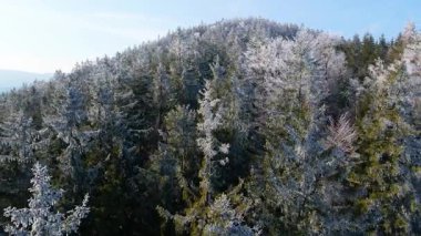 Buz dağları orman dronu kış karını görür