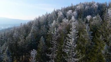 Buz dağları orman dronu kış karını görür