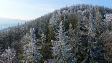 Buz dağları orman dronu kış karını görür