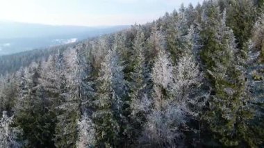 Buz dağları orman dronu kış karını görür