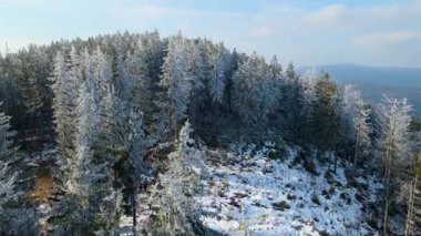 Buz dağları orman dronu kış karını görür