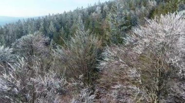 Buz dağları orman dronu kış karını görür