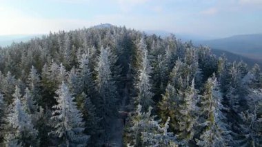 Buz dağları orman dronu kış karını görür