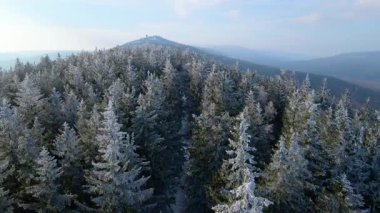 Buz dağları orman dronu kış karını görür