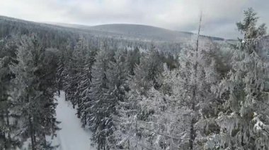 Buz dağları orman dronu kış karını görür