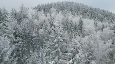 Buz dağları orman dronu kış karını görür