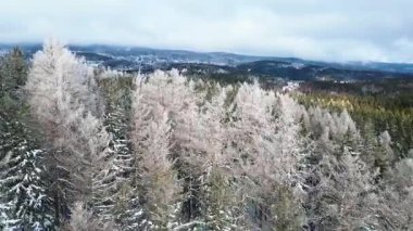 Buz dağları orman dronu kış karını görür