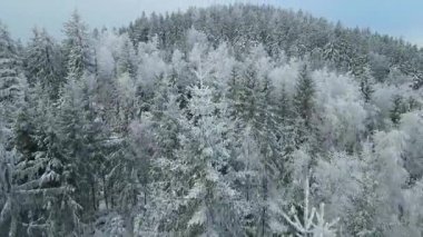 Buz dağları orman dronu kış karını görür