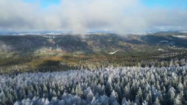 Buz dağları orman dronu kış karını görür