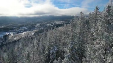 Buz dağları orman dronu kış karını görür