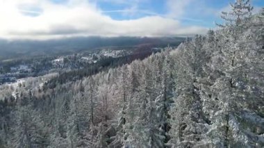 Buz dağları orman dronu kış karını görür