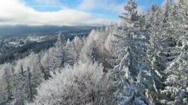 Buz dağları orman dronu kış karını görür