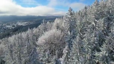 Buz dağları orman dronu kış karını görür