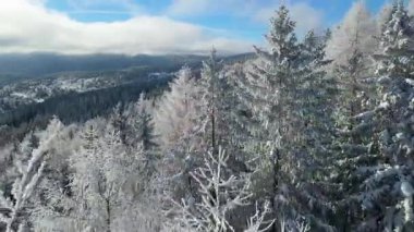 Buz dağları orman dronu kış karını görür