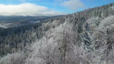 Buz dağları orman dronu kış karını görür