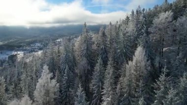 Buz dağları orman dronu kış karını görür