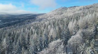 Buz dağları orman dronu kış karını görür