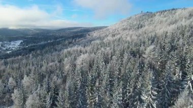 Buz dağları orman dronu kış karını görür