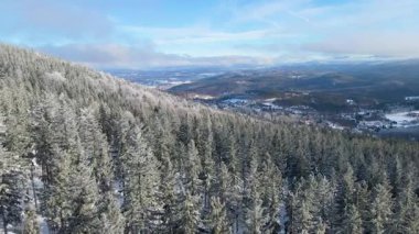 Buz dağları orman dronu kış karını görür