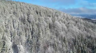 Buz dağları orman dronu kış karını görür