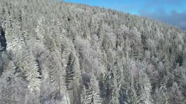 Buz dağları orman dronu kış karını görür