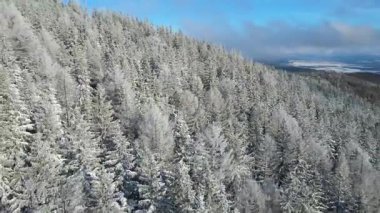 Buz dağları orman dronu kış karını görür