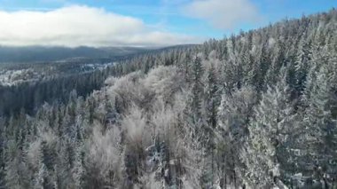 Buz dağları orman dronu kış karını görür