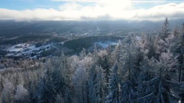 Buz dağları orman dronu kış karını görür