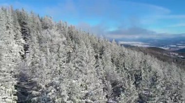 Buz dağları orman dronu kış karını görür