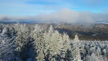 Buz dağları orman dronu kış karını görür